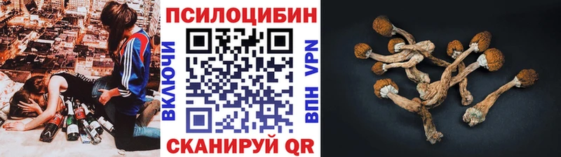 OMG как зайти  Белозерск  Галлюциногенные грибы GOLDEN TEACHER 